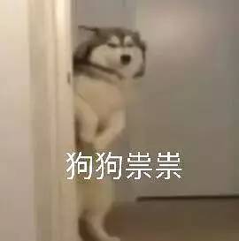  baby这寸头,可把我给丑哭了