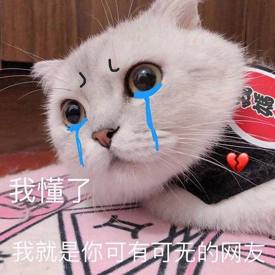  你也来网上冲浪的相册网络冲浪女孩的挚爱