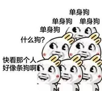 大连开通多乘员车辆专用道,单身汪慌了得赶紧找对象