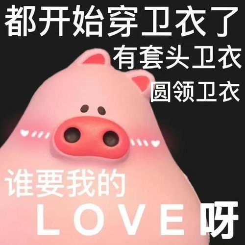  粉色猪猪恶搞表情包