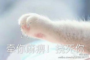 麻痹的表情包牵手