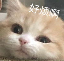  沙雕表情包l你可真不错哦