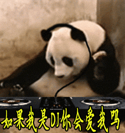  就哔哔你是英文界的仓颉吗