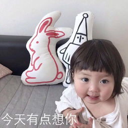 来我怀里表情包罗熙