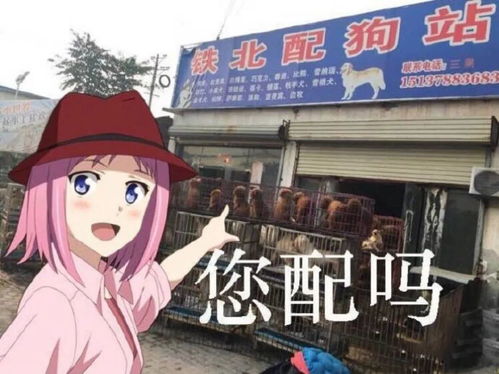  男生单身久了vs女生单身久了每日搞笑段子