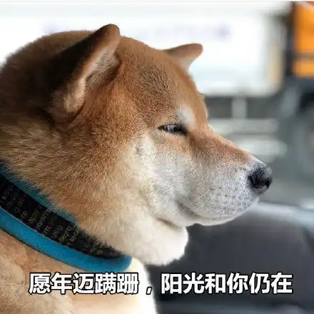 来一组七夕特供表情包,狗子们快拿走 来一组七夕特供表情包,狗子们快拿走