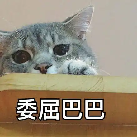 萌猫哭的表情包 萌猫哭的表情包