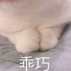  一组萌萌的猫爪表情包