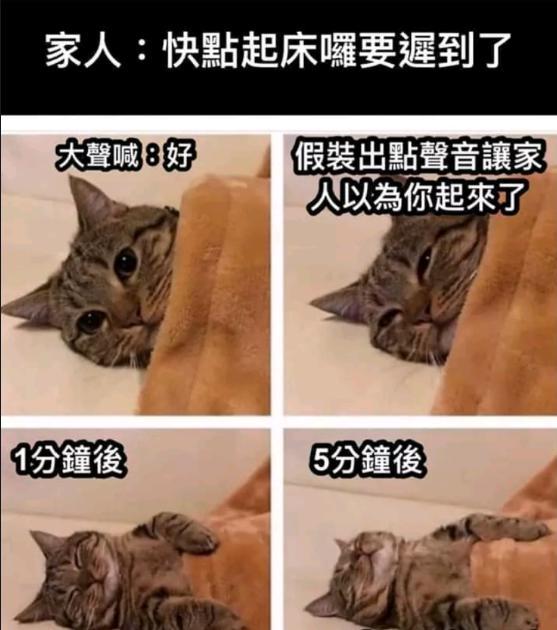  笑死我了,汽车a柱为啥不设计成透明,这样不就没盲区了