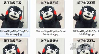  说了你又不听,听了你又不懂表情包熊本熊表情包v2016完整版软件下载