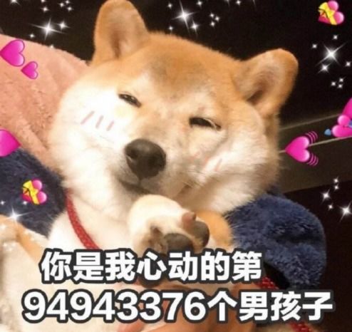 居老师北老师表情包情人