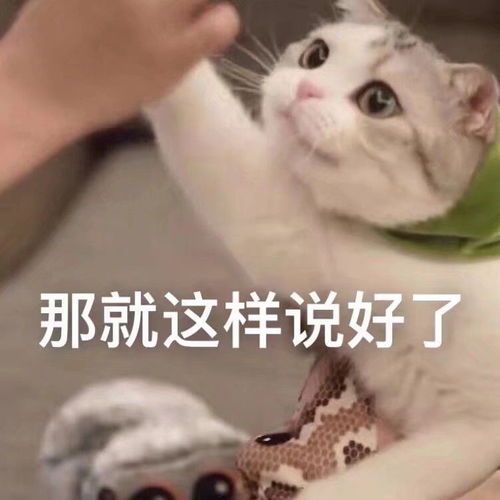  表情包别问,问就是没生气