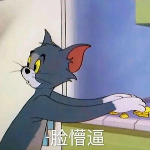  猫和老鼠表情包麻麻我恋爱了