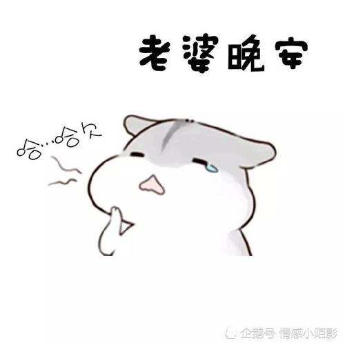  仓鼠表情包我老婆穿什么都好看