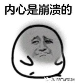  贺州一游客上山游玩,不慎坠落约9米的废弃矿井,幸好