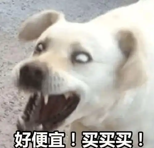 30分钟突破3723亿来看看河南的剁手力 30分钟突破3723亿来看看河南的剁手力