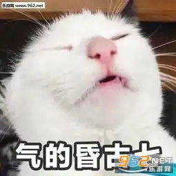  吸猫吗免费的超萌喵咪表情包绝交生气了讨厌你根本不可能哄好的小猫表情包下载乐游网游戏下载