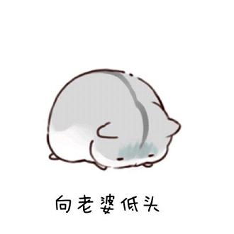  老婆再见仓鼠表情包