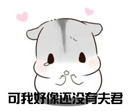  仓鼠夫妻
