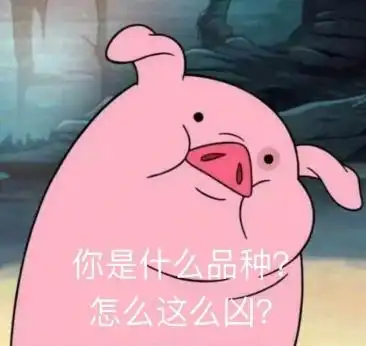 被猪艾特了表情包