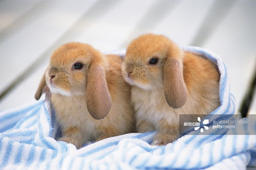 摄影图片 摄影图片