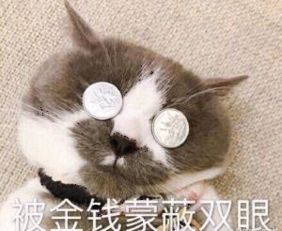  金牛座男生和金牛座女生在一起合适吗