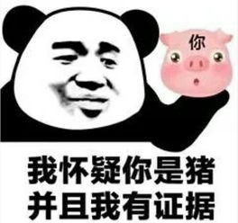  最近超火的熊猫头表情我怀疑你是猪,并且我有证据