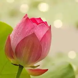 在线收听锦州心灵驿站荔枝 在线收听锦州心灵驿站荔枝