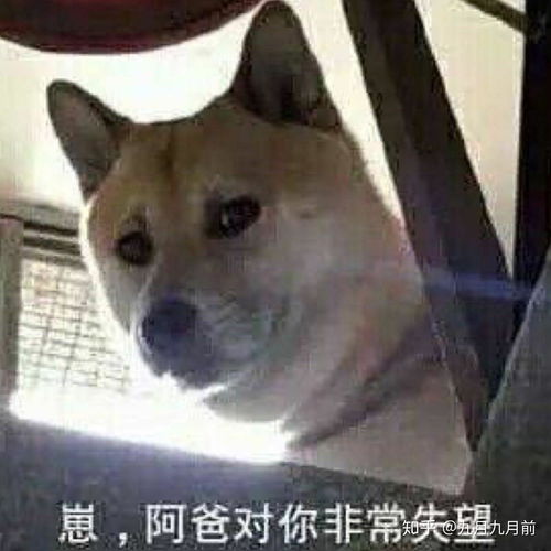  为什么网友喜欢发模糊沙雕表情包