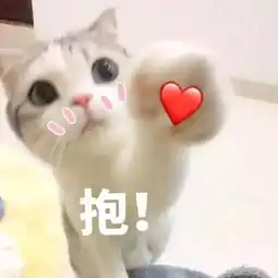 猫咪表情包天冷了,可以给个抱抱吗 猫咪表情包天冷了,可以给个抱抱吗