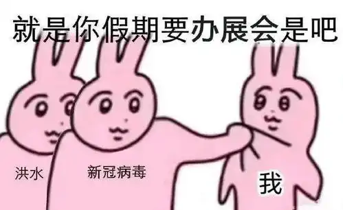 很无聊的表情包兔子