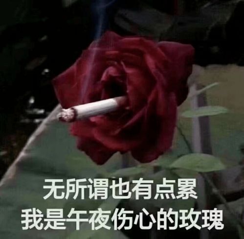  对象聊天可以多敷衍