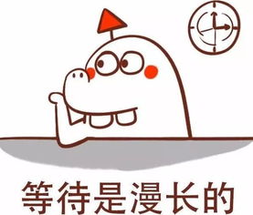  必去的夏日旅行地清单深度体验最纯净的海,承包你的欢乐假期,更容得下所有海边度假的梦想