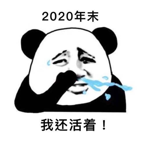  跨年必备的表情包,快快收藏