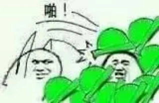  豆瓣影评今天的绿帽大佬,昨天的王宝钏