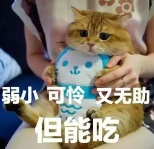 小鹿表情包手打圈圈胖胖