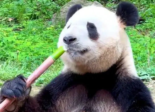 陕西身边事网友拍自家门外水墨江山似仙境 陕西身边事网友拍自家门外水墨江山似仙境