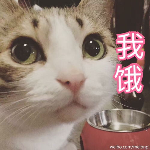 祝我生日快乐表情包图片