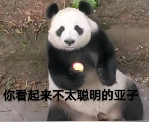 哔哩哔哩专栏 哔哩哔哩专栏