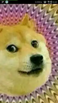 暴走漫画大黄狗表情,这狗叫什么 暴走漫画大黄狗表情,这狗叫什么