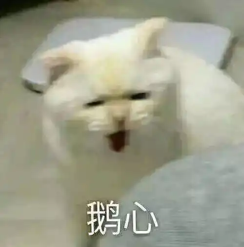 拿走这组的表情包,从此节操是路人表情包 拿走这组的表情包,从此节操是路人表情包