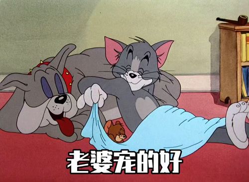  各位男同胞记住啦猫和老鼠表情包治愈