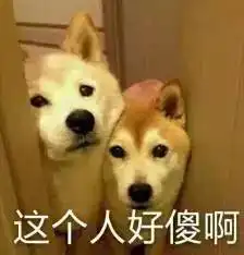  你有没有后悔过,给狗狗取的名字