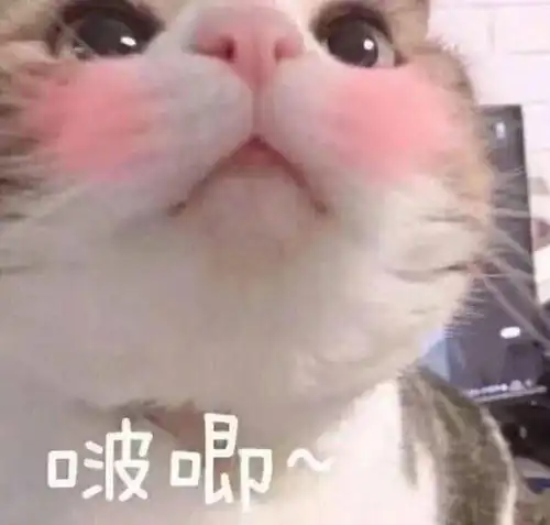  要不要来玩歌词接龙
