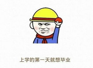  还没入学就可以自选宿舍和床位这个大学的新生太幸福