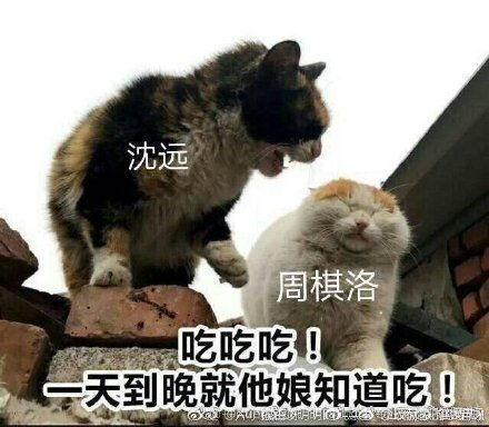  沙雕表情包集合1图源微博