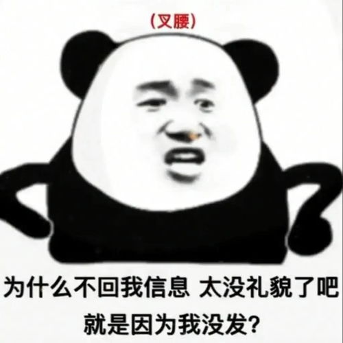  爆笑沙雕表情包别人都是用香奈儿包,而我用的是表情包