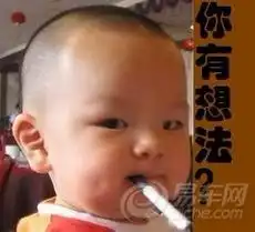 彝人谷万亩竹海游玩 彝人谷万亩竹海游玩