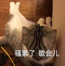  19块9的定妆粉居然秒杀了600块的,它凭什么