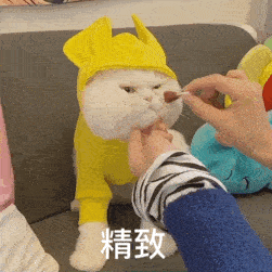 历史回顾大脸猫球球表情包第二弹